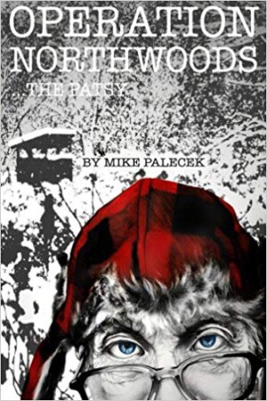Operation Northwoods: ... the patsy