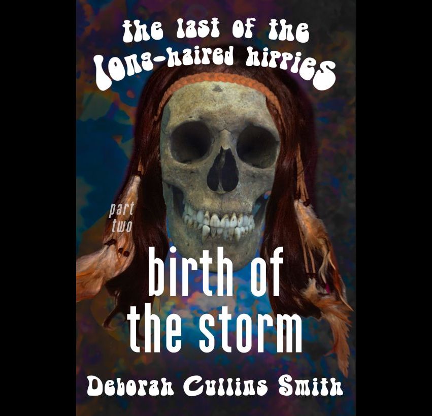 Birth of the Storm (Last of the Long-Haired Hippies book 2)